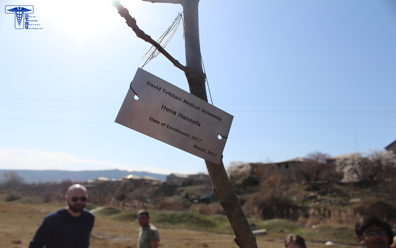 გამწვანების დღე 2017, რუსთავი