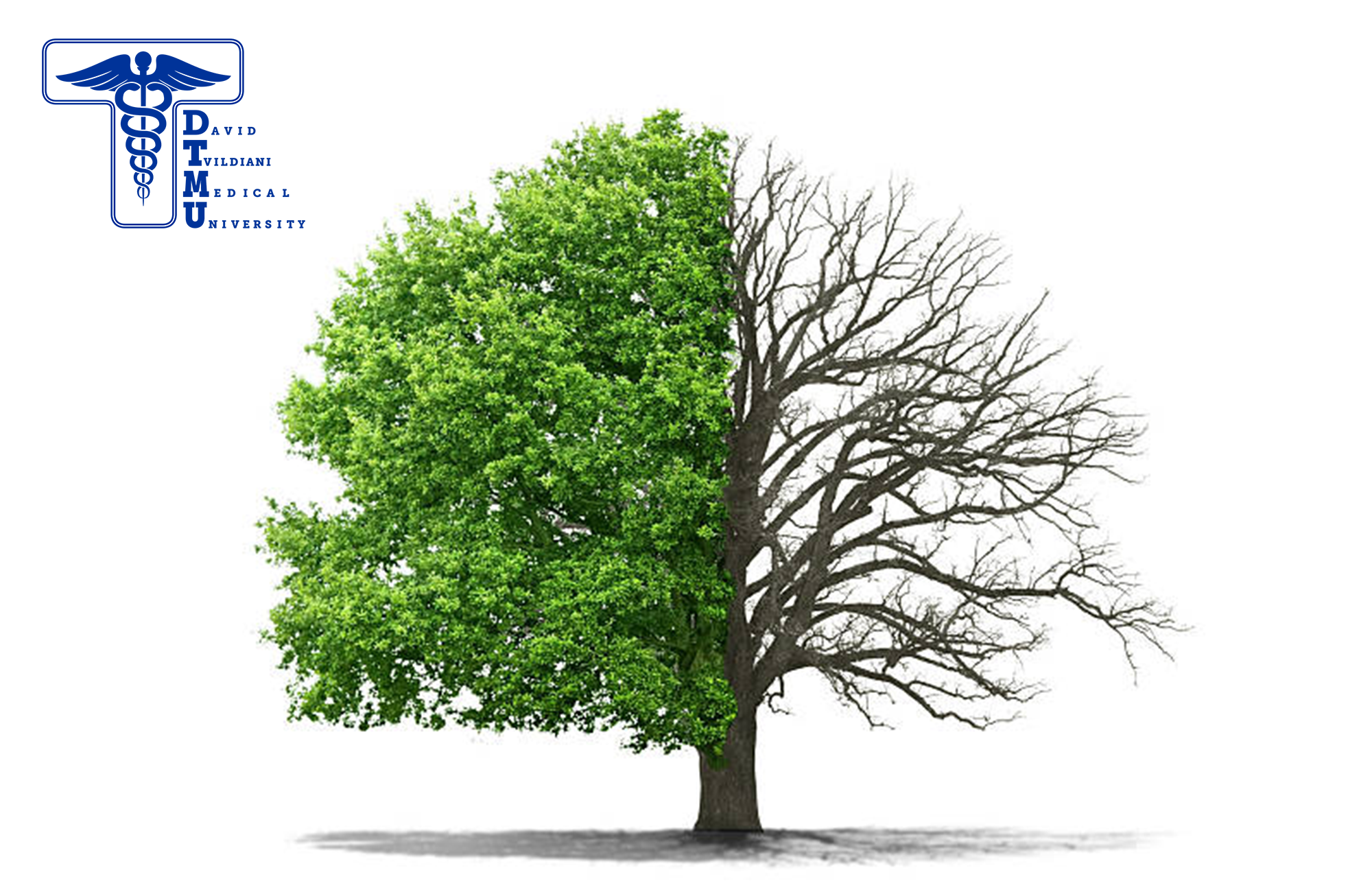 სოციალური კამპანია „აღადგინე“